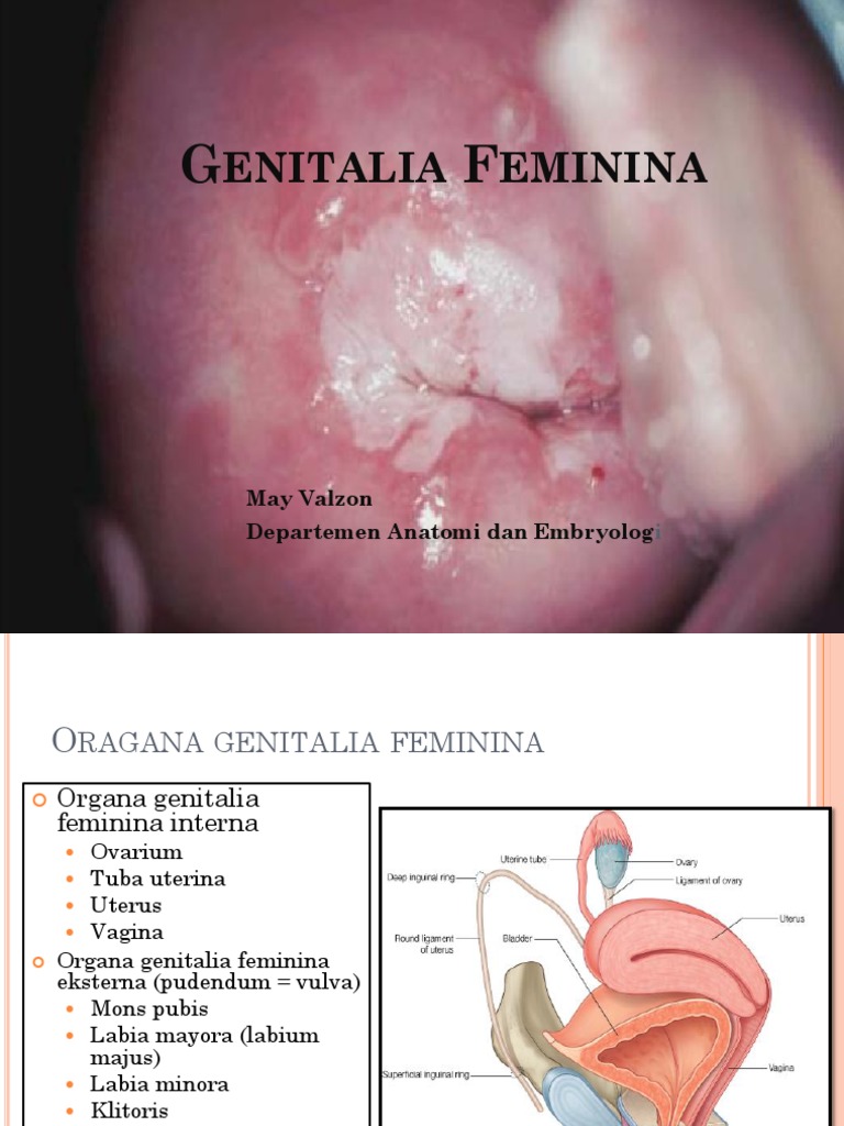 Jinsiy aloqa manaleti