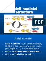 Acizii Nucleici