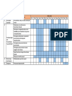 Workplan Pendamping DMD