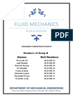Fluid Mechanics Group Assignment