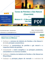M01 - O Mercado Do Petróleo e Gás Natural vf2022