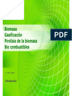 Pirolisis de La Biomasa
