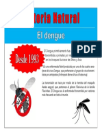 Historia Natural El Dengue