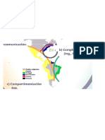 Mapas y Gráficos. COMERCIO