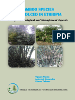 Bamboo Species Introduced in Ethiopia... Book