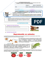 Guía 3. Octavo Ciencias Naturales FINAL