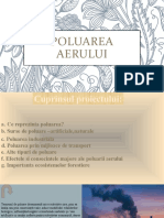 Poluarea Aerului