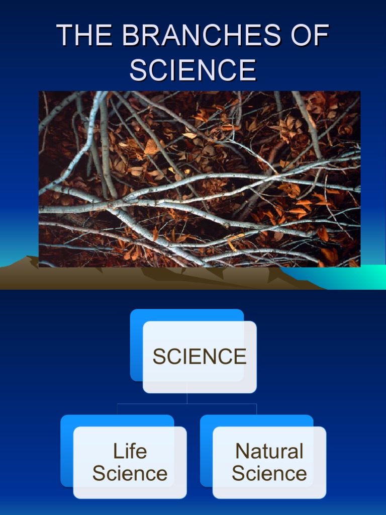 Overview of Science Branches | PDF | Social Science | Wellness