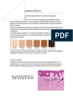 2.lesiones Melanocíticas