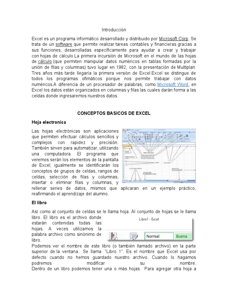 Introducción a los conceptos básicos de Excel | PDF | Microsoft Excel ...