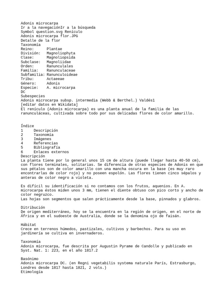 Adonis Microcarpa | PDF | Flora | Botánica