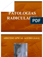 Patologias Radiculares