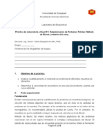 Práctica 5 - Determinación de Proteínas Totales - Método de Biuret y Método de Lowry