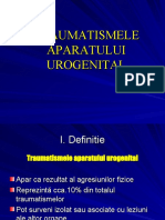 traumatismele-aparatului-urogenital