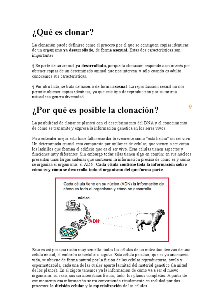 Qué Es Clonar | PDF | Clonación | Célula madre