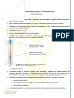 Anatomia da medula espinhal