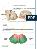 Anatomia Macroscópica Do Cerebelo - Resumo