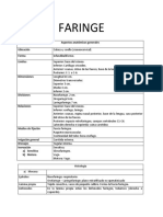 Anatomía y función de la faringe en
