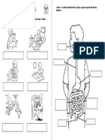 Guia de Cuidados Del Sistema Digestivo