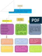 Mapa Conceptual Percepcion