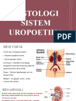 Histologi Sistem Uropoetika