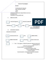 Informe Psicopedagogico de Renata