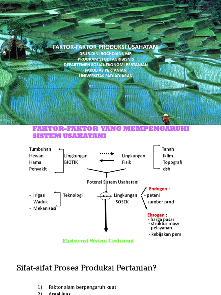 Faktor-Faktor Produksi Usahatani | PDF