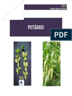 potassio112