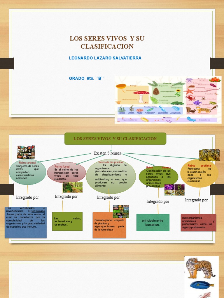 Mapa Conceptual | PDF | Organismos | Eucariotas