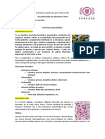 Bacterias Gram Positivas y Gram Negativas