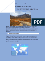 Tundra Alpina Bioma Frío México