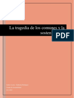 Actividad La Tragedia de Los Comunes y La Sostenibilidad