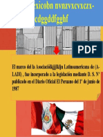TLC PERÚ-MÉXICO efghijkl