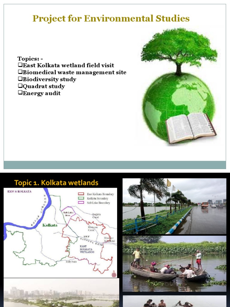 Project For Environmental Studies Topics PDF Species Wetland