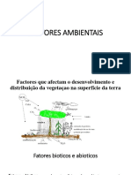 Aula 2- FACTORES AMBIENTAIS