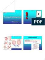 Renal Pathophysiology: Content