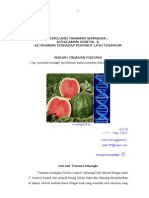 Pemuliaan Tanaman Semangka untuk ketahanan terhadap penyakit layu fusarium 