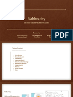 Nablus City Features