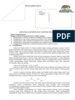 LKS Alkanol Dan Alkoksi Alkana