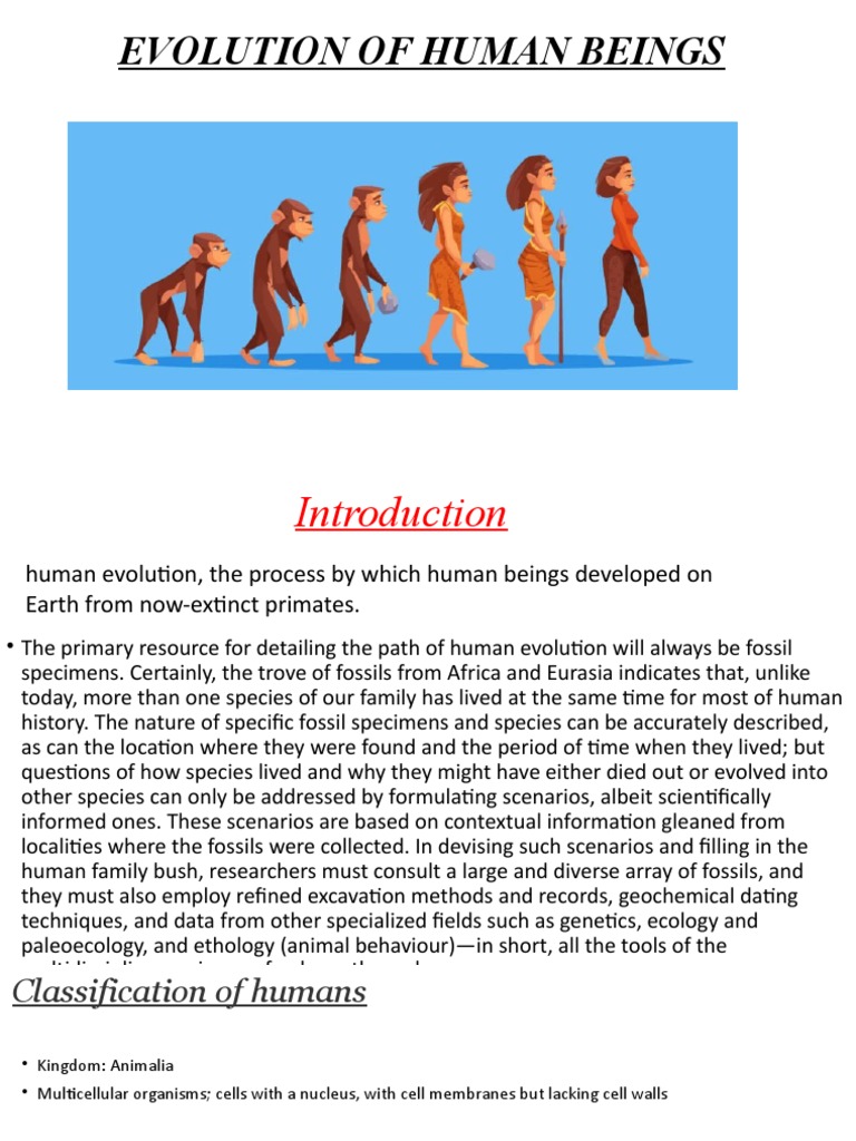 Human Evolution | PDF | Homo