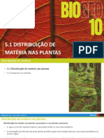 Distribuição matéria plantas