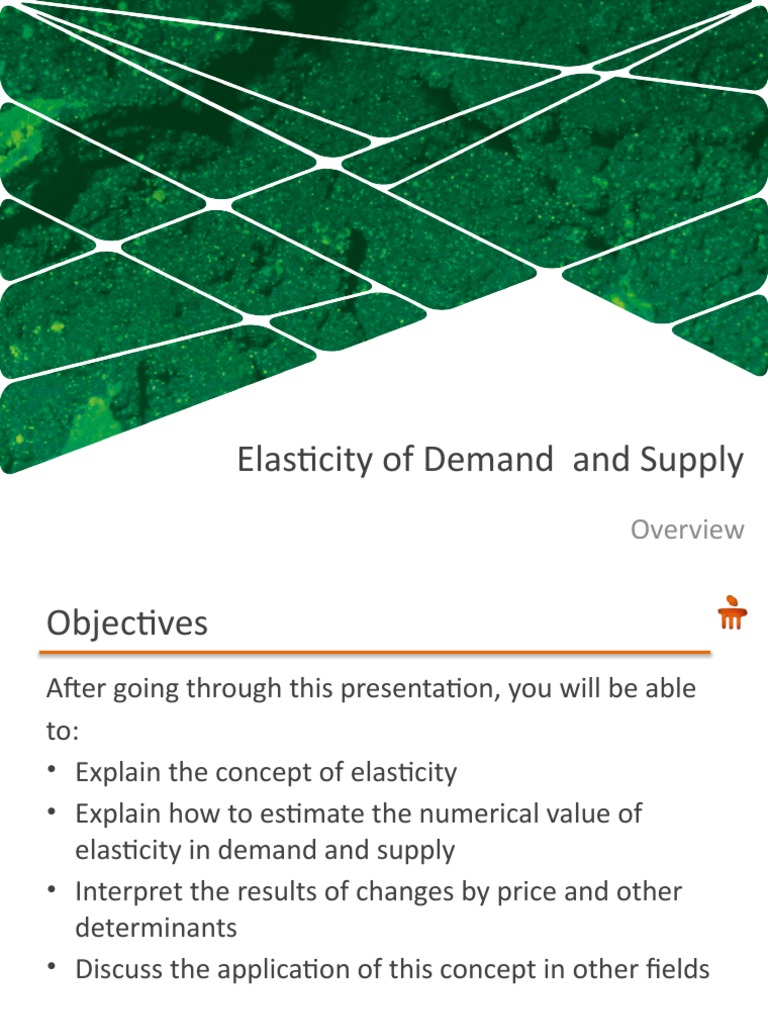Understanding Demand and Supply Elasticity | PDF | Price Elasticity Of ...