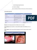 Notas Patología 2