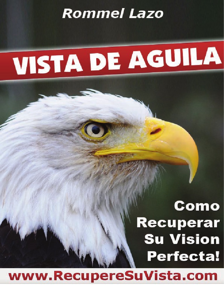 Vista de Aguila | PDF | Ojo | Percepción visual