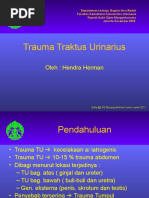 Download Trauma Traktus Urinarius Hendra 2011 by Hendra Herman SN56438485 doc pdf