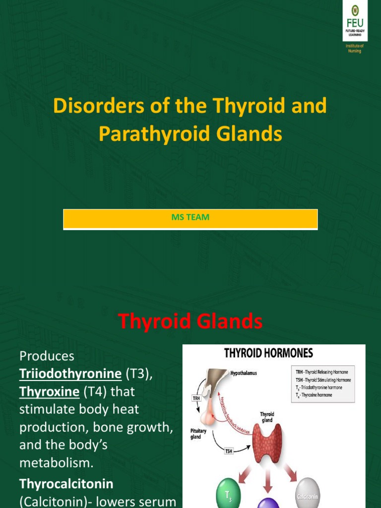 Disorders of The Thyroid and Parathyroid Glands: Ms Team | PDF ...
