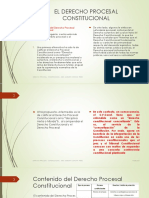 Naturaleza Del Derecho Procesal Constitucional