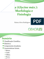 Soja - Morfologia e Fisiologia