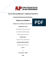 Ensayo de Medios de Control Social Derecho Penal I