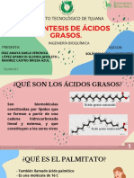 Sintesis de Acidos Grasos